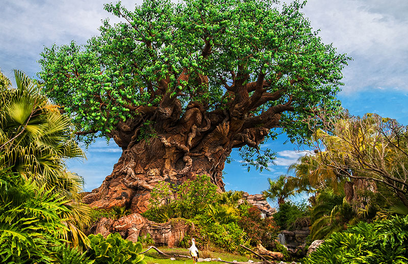Animal Kingdom